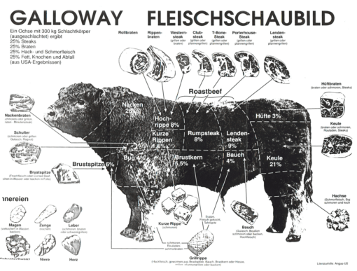 Galloway Fleischschaubild. Unterscheidung dargestellt in Abbildung